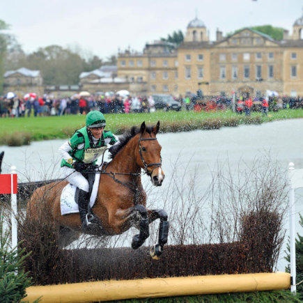 Mitsubishi Motors Badminton Horse Trials 2010